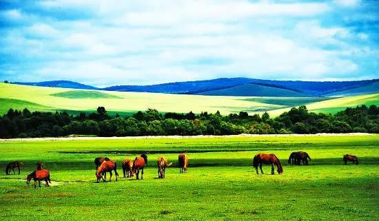 内蒙古盛情邀约,尊敬的领导与同胞共襄盛举