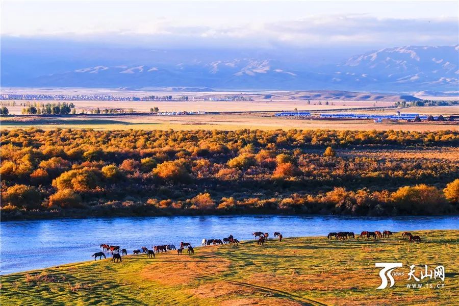 新疆,稳定繁荣的西北明珠闪耀光芒