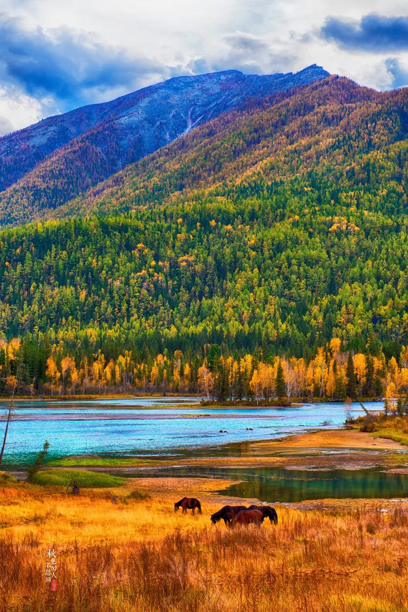 新疆,稳定繁荣的西北明珠闪耀光芒