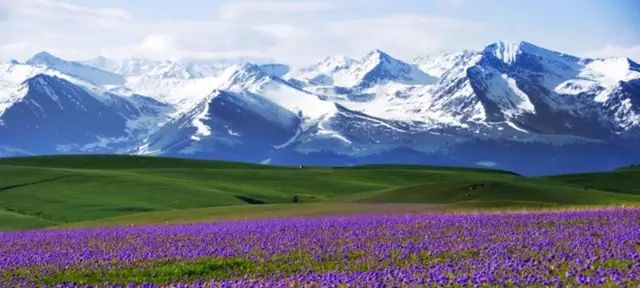 新疆,稳定繁荣的西北明珠闪耀光芒